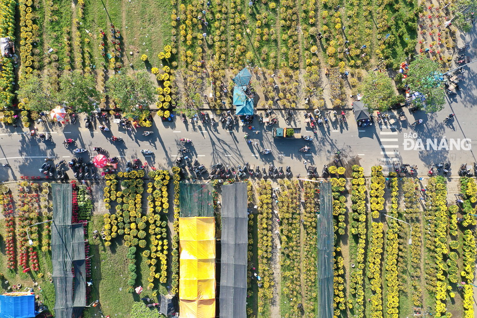 An overview of the Tet Flower Market from above.