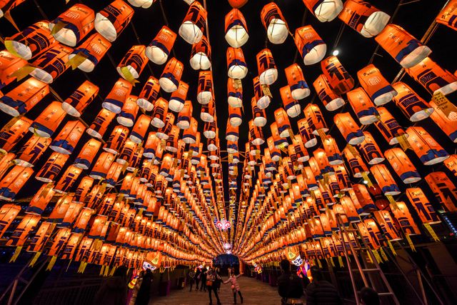 Đèn lồng được trang hoàng nhân dịp Tết Nguyên đán tại Thiểm Tây, Trung Quốc. (Ảnh: Reuters)