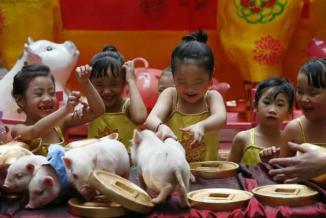 Trẻ em thích thú chơi đùa với lợn tại sự kiện chào đón năm mới ở thủ đô Manila, Philippines. (Ảnh: AP)