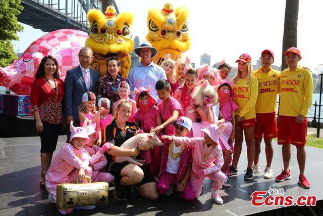 Không khí đón Tết Kỷ Hợi của cộng đồng người Hoa tại Sydney, Australia. (Ảnh: China News Service)