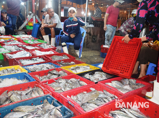 Cá chim từ các tàu cá được đưa lên chợ đầu mối thủy sản Thọ Quang bày bán với giá 100.000 đồng/kg.