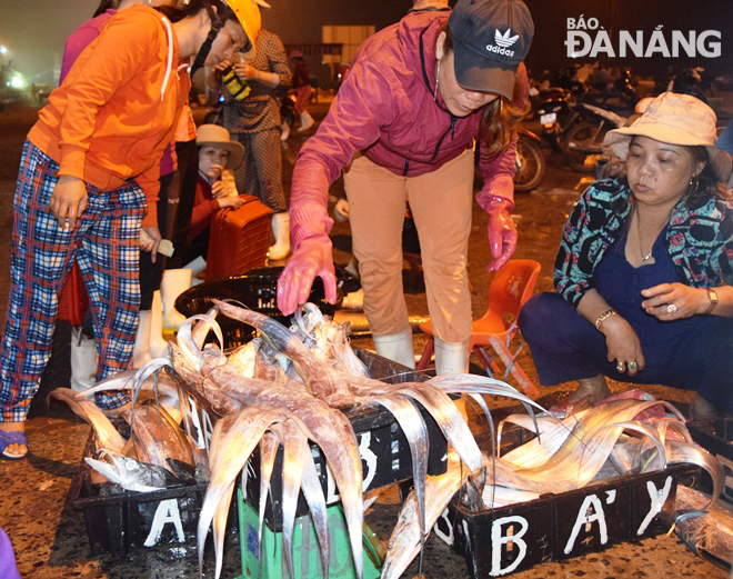 Tại chợ đầu mối thủy sản Thọ Quang, cá hỗ loại nhỏ được bán với giá 150.000 đồng/kg, cá hố loại lớn có giá đến 400.000 đồng/kg. 