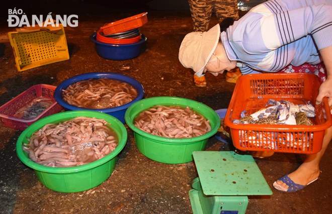 Các tàu cá đánh bắt gần bờ của Đà Nẵng cũng đưa về nhiều cá khoai, ghẹ... 