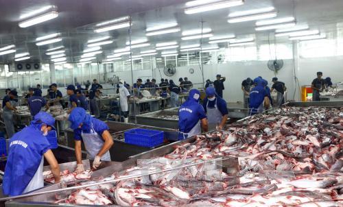 Chế biến cá tra xuất khẩu tại Công ty Biển Đông (Khu công nghiệp Trà Nóc II, thành phố Cần Thơ). Ảnh: Thanh Liêm/TTXVN