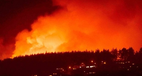 Toàn bộ thị trấn Wakefield của New Zealand đã phải sơ tán do cháy rừng nghiêm trọng. Ảnh: EPA.