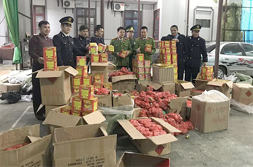 Gần một tấn pháo các loại bị tịch thu ở cửa khẩu Tân Thanh, Lạng Sơn vào tháng 1-2019. Ảnh: Sơn Dương