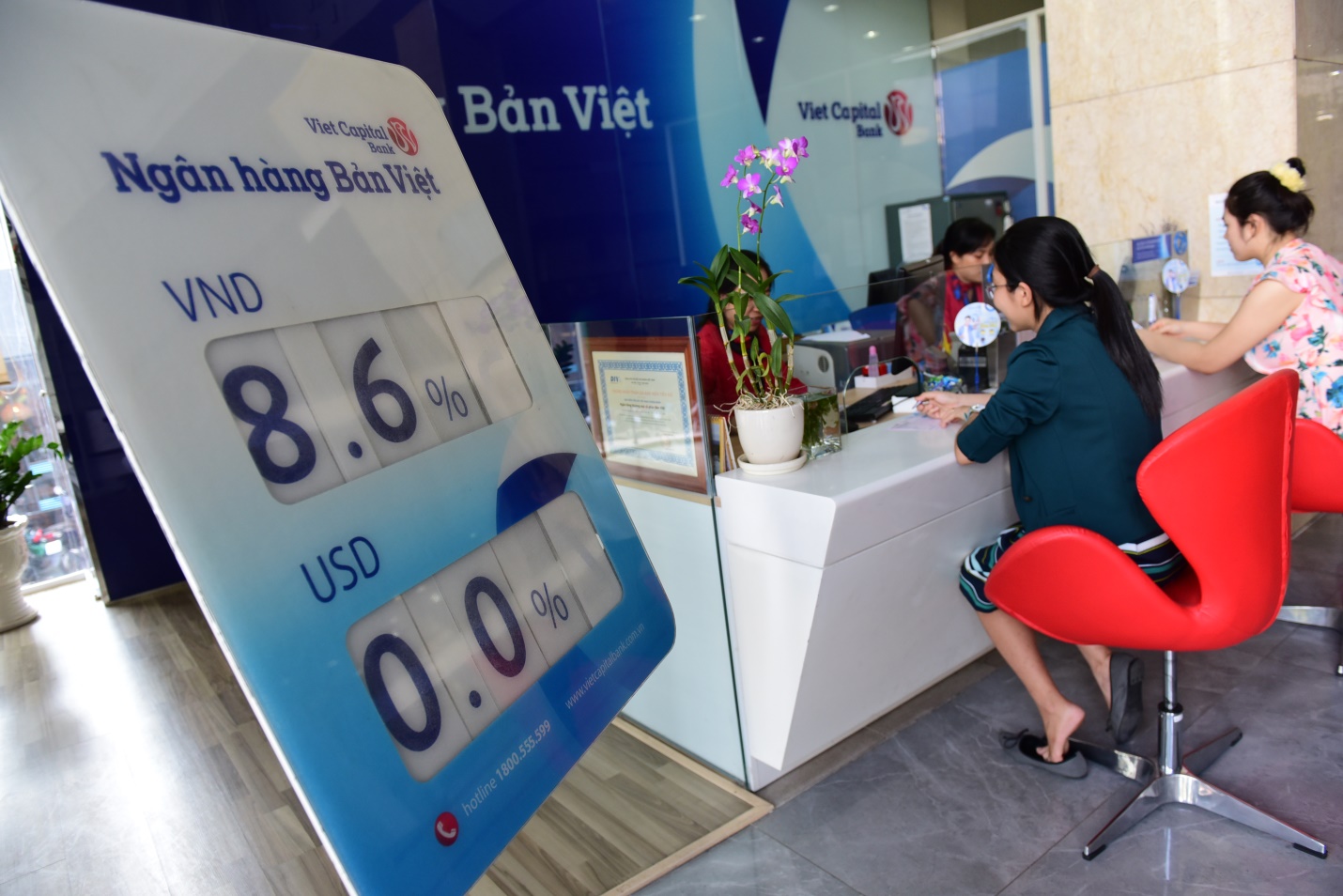 Ngân hàng Bản Việt không chỉ ưu đãi lãi suất gửi tiết kiệm thuộc top cao nhất khối nhà băng, mà còn tặng vàng và tiền mặt đầu xuân cho 100% khách hàng từ ngày 11-2 đến 6-3.