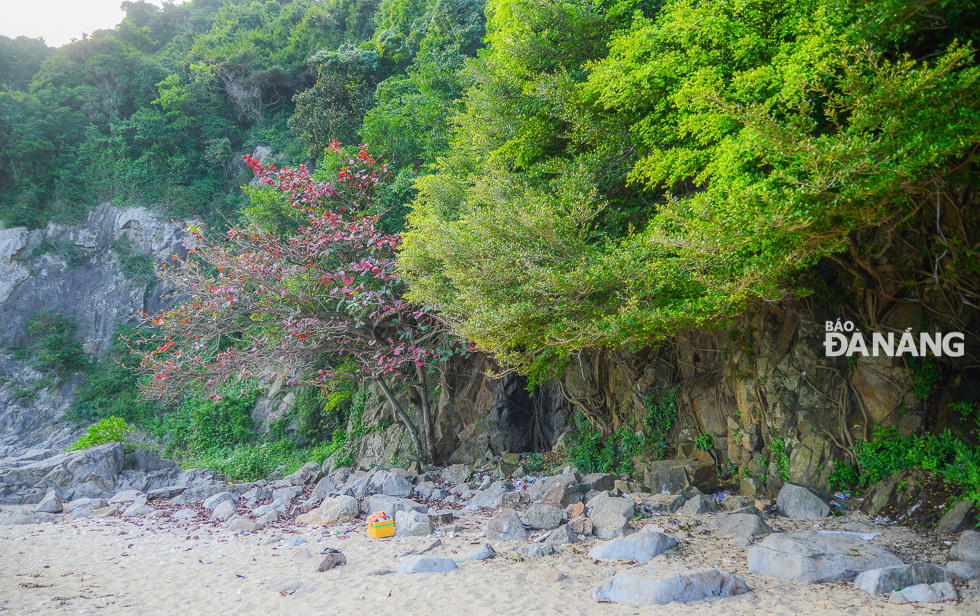 Green trees at the tourist site.