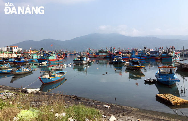 Nan giải khắc phục ô nhiễm ở âu thuyền Thọ Quang