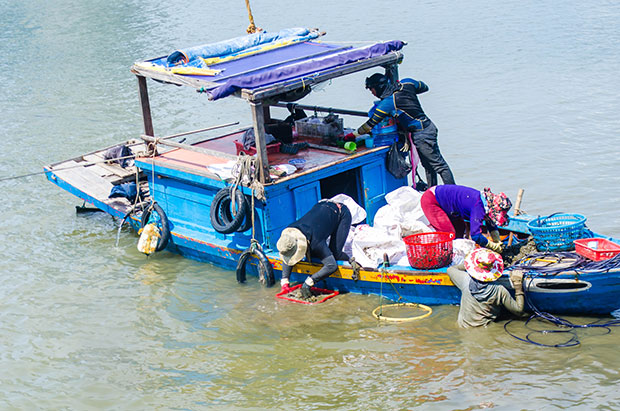 A bop bop hunting boat on the Han River