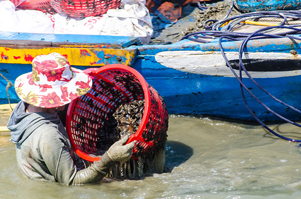 Woman collecting bop bops near the river banks where the water is shallow.