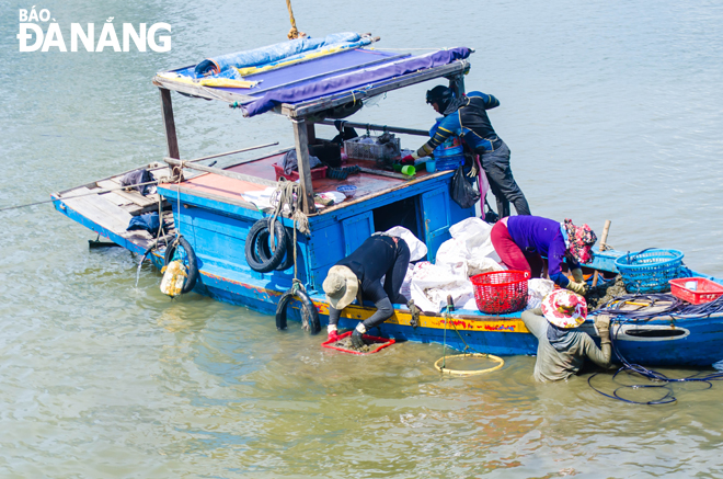 Thu lượm bợp bợp là một công việc khá vất vả, tốn nhiều sức. Ở những nơi nước sâu, đàn ông khỏe mạnh phải dùng thiết bị lặn như kính lặn, ống dưỡng khí, đeo chì vào người để bảo đảm việc thu lượm bợp bợp có kết quả.