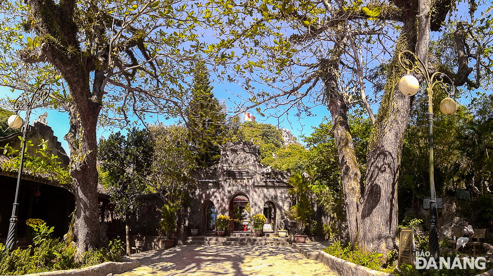  The 2 terminalia catappa trees in front of the pagoda’s entrances