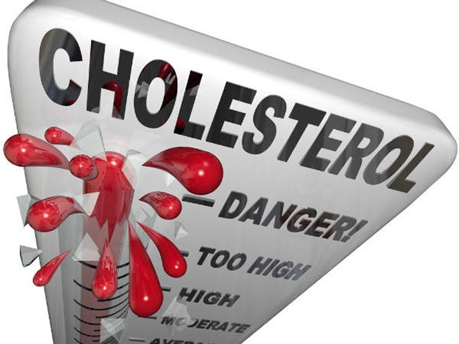 Kiểm soát mức cholesterol: Xoài có hàm lượng vitamin C, pectin và chất xơ cao giúp giảm mức cholesterol huyết thanh. Các loại xoài tươi cũng giàu kali, là thành phần cần thiết của tế bào và chất dịch cơ thể. Nó giúp kiểm soát nhịp tim cũng như huyết áp.
