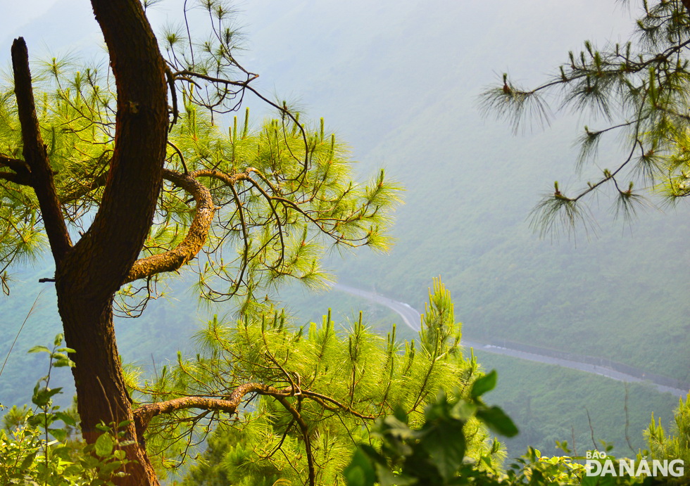 From there, visitors can see the Hai Van Pass hidden in clouds.