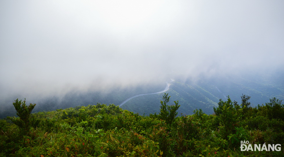 From the pine hill, tourists can ride their motorbikes about 100m to reach a vacant land where they can see clouds at close ranges.