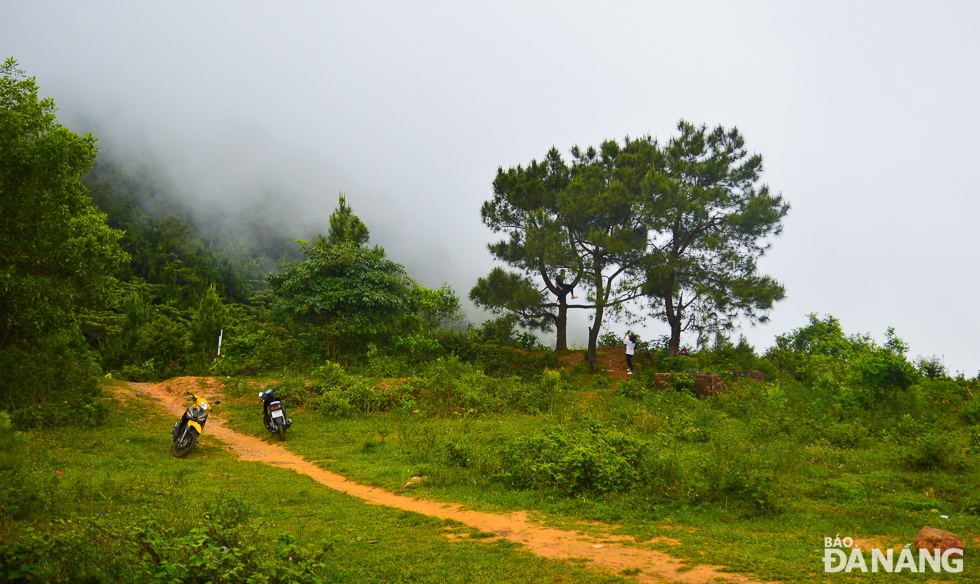 The pine hill is very inviting to locals, and domestic and foreign visitors. It is emerging as an ideal place for outdoor activities.  However, visitors are encouraged to ensure the environmental sanitation there.