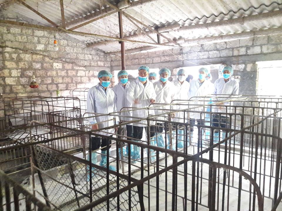 Bộ trưởng Bộ NN&PTNT Nguyễn Xuân Cường kiểm tra công tác chống dịch tả lợn châu Phi. Ảnh: K.L