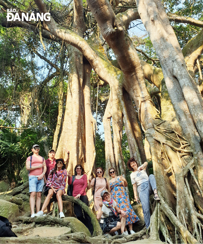 Some members of a presstrip delegation from Bulgaria at the over 1000-year-old banyan tree on Da Nang's Son Tra Peninsula