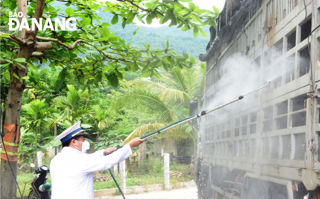 A veterinary staff member spraying Benkocid chemicals at a pig transporting vehicle at the Kim Lien quarantine station.