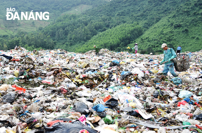 Tại bãi rác Khánh Sơn, trong rác sinh hoạt vẫn còn nhiều rác tài nguyên.                                       Ảnh: HOÀNG HIỆP