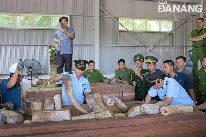 Over 9.1 tonnes of suspected ivory were discovered at the Tien Sa Port