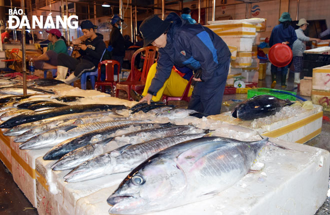 Cảng cá, chợ đầu mối thủy sản Thọ Quang đang trở thành trung tâm thương mại, dịch vụ hậu cần thủy sản lớn.