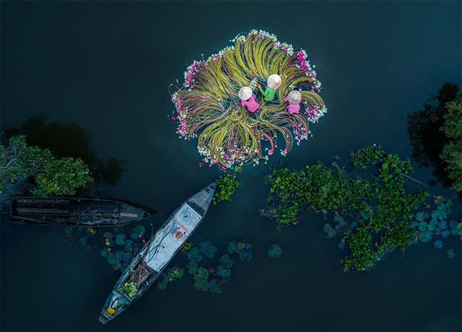 Tác phẩm xuất sắc của người Việt đoạt giải nhất trong cuộc thi ảnh quốc tế