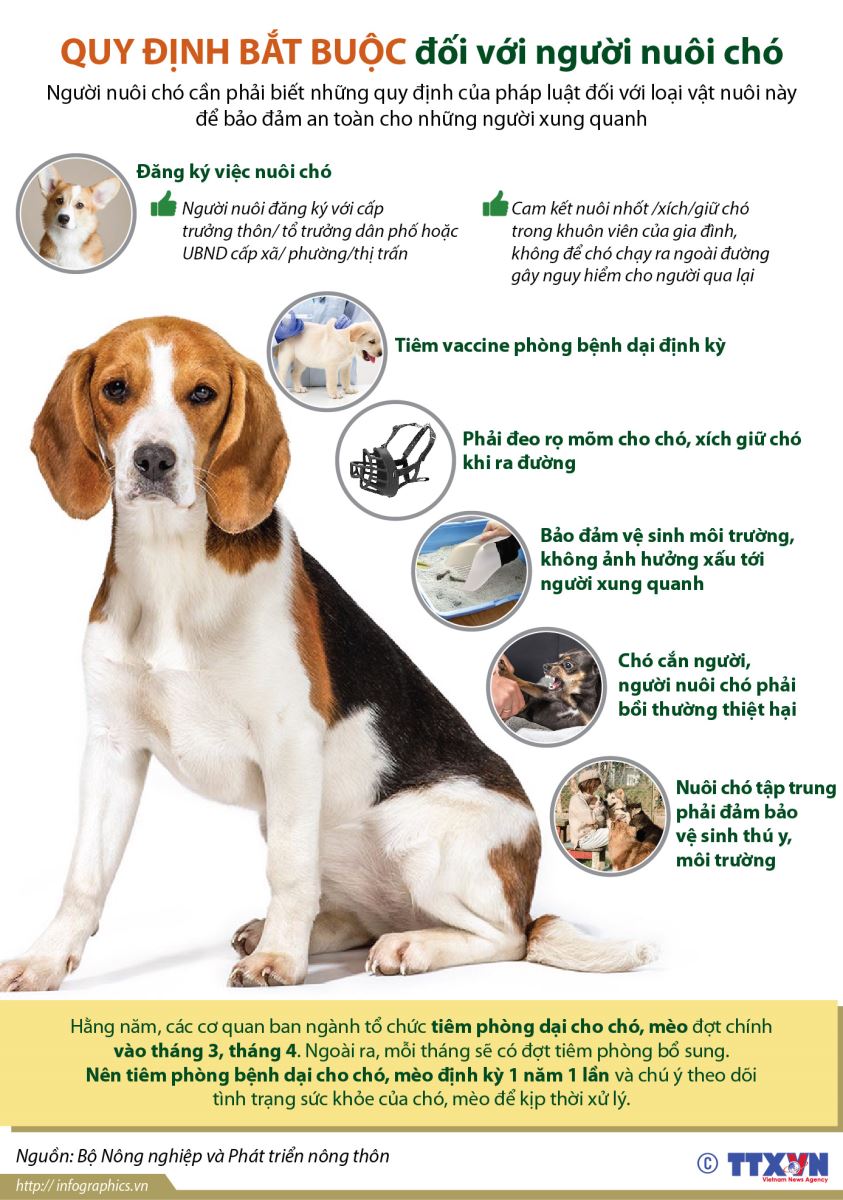 Người nuôi chó cần biết những quy định này của pháp luật