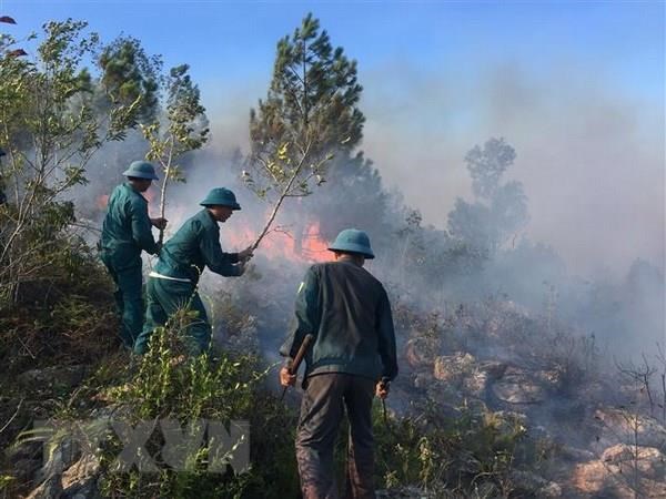 Nắng nóng, nhiều vụ cháy rừng xảy ở Điện Biên, Lai Châu và Sơn La