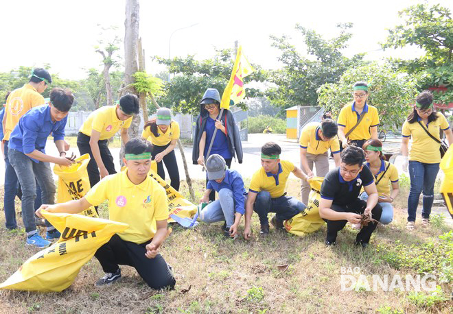 Thí sinh, sinh viên ĐH Đà Nẵng và cán bộ, nhân viên PNJ tham gia dọn dẹp vệ sinh, thu gom rác thải.