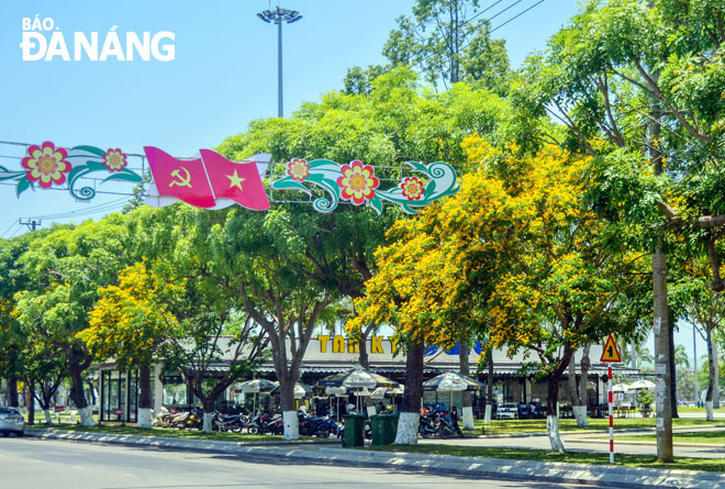 Vẻ đẹp của hoa sưa góp phần tạo nên hình ảnh đặc trưng cho Tam Kỳ - thành phố từng hai lần được Tổ chức Định cư con người Liên Hiệp Quốc tại châu Á (UN Habitat châu Á) bình chọn là “Thành phố Cảnh quan châu Á” vào các năm 2015 và 2017. 