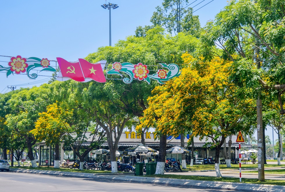 Sua flowers create a characteristic beauty for Tam Ky which was honoured with the Asian Townscape Awards in 2015 and 2017 by the United Nations Human Settlements Programme (UN-HABITAT) Regional Office for Asia.