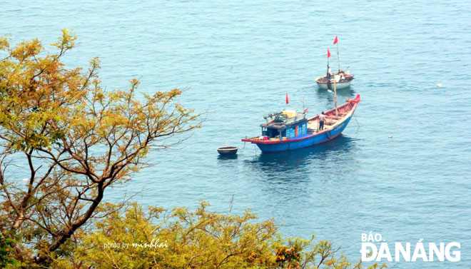 Đến Sơn Trà, du khách không chỉ được ngắm vẻ đẹp rực rỡ của các loài hoa mà còn thấy được vẻ đẹp của biển xanh. Ảnh: Phan Minh Hải
