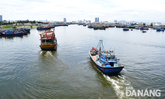 Đà Nẵng đang dần trở thành trung tâm nghề cá lớn của khu vực miền Trung. Ảnh: HOÀNG HIỆP