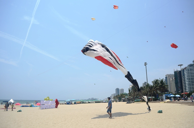 A newly-made stingray-shaped kite flying for the first time