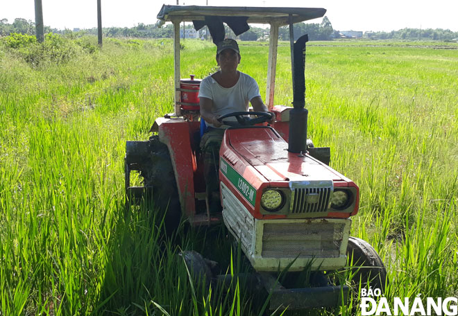 Ngoài việc phát triển kinh tế chăn nuôi, trồng trọt, ông Nguyễn Nhường, Bí thư chi bộ kiêm trưởng thôn An Sơn, xã Hòa Ninh còn đầu tư hàng trăm triệu đồng mua máy cày làm kinh tế.