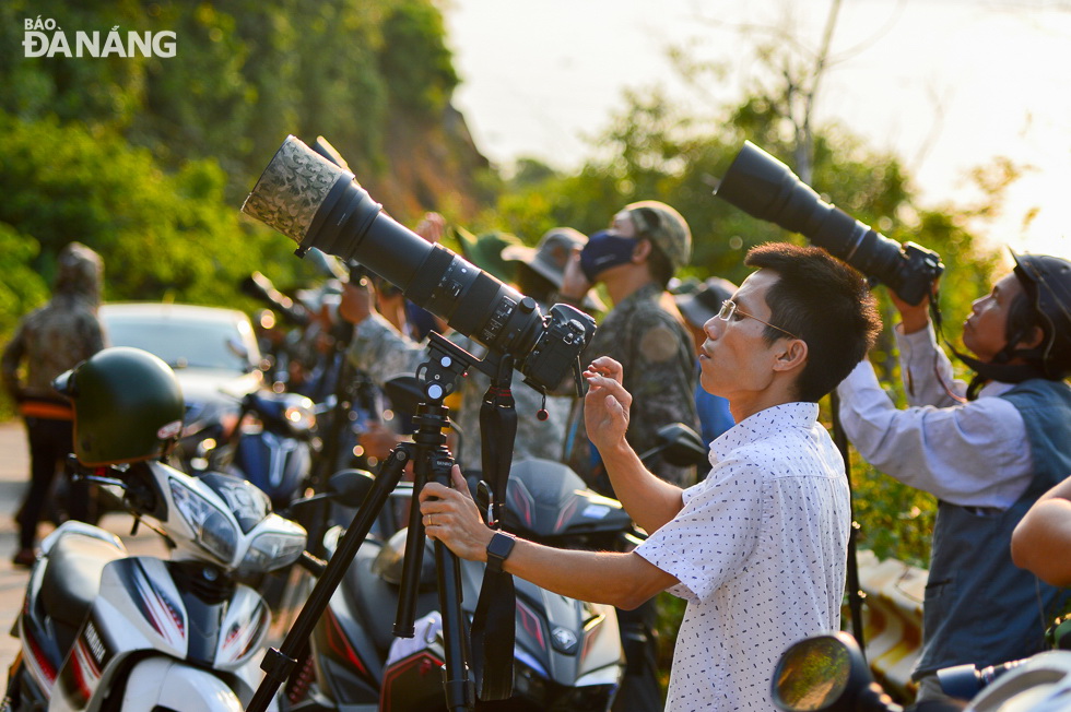 Thanks to the beauty of the Than Mat flowers, and red-shanked douc langurs as a whole, the Son Tra Peninsula is very inviting to photographers and visitors from both home and abroad.