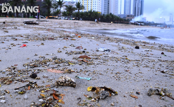 Nhiều nhà hàng, khách sạn xả thải ra môi trường làm phát sinh nhiều nhiều chất bẩn trôi ra bãi biển sau mỗi trận mưa to.