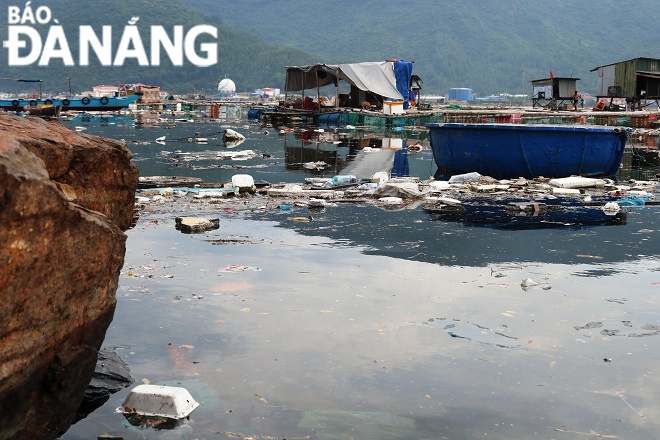 Mặt nước bẩn thỉu tại khu vực Vịnh Mân Quang do rác thải tấp vào. 