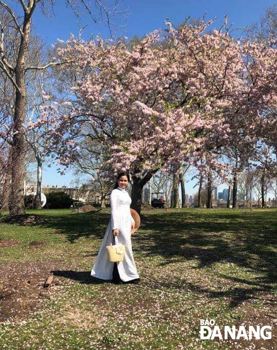 Một người phụ nữ trong tà áo dài Việt Nam trong một vườn hoa anh đào ở Mỹ. Ảnh: NGUYỄN VĂN NHÂN