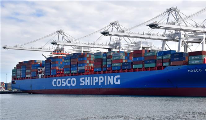 Container hàng của Công ty vận tải Trung Quốc COSCO tại cảng Long Beach, Los Angeles, Mỹ ngày 27/2/2019. Ảnh: THX/TTXVN