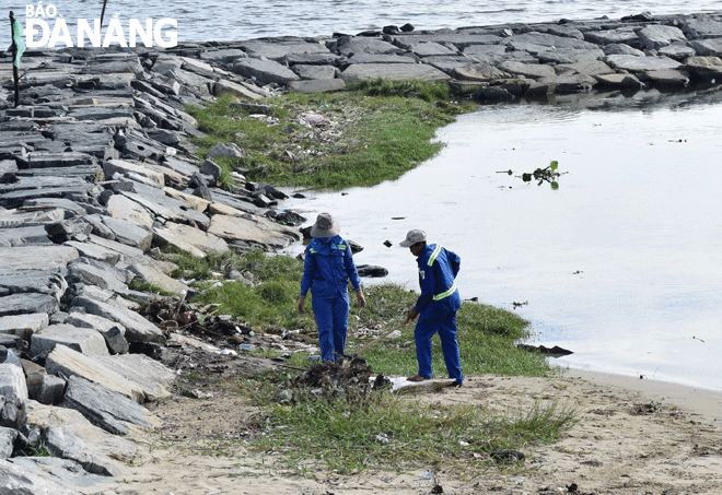 Thu gom xác cá chết từ sông Phú Lộc chảy ra cửa biển.