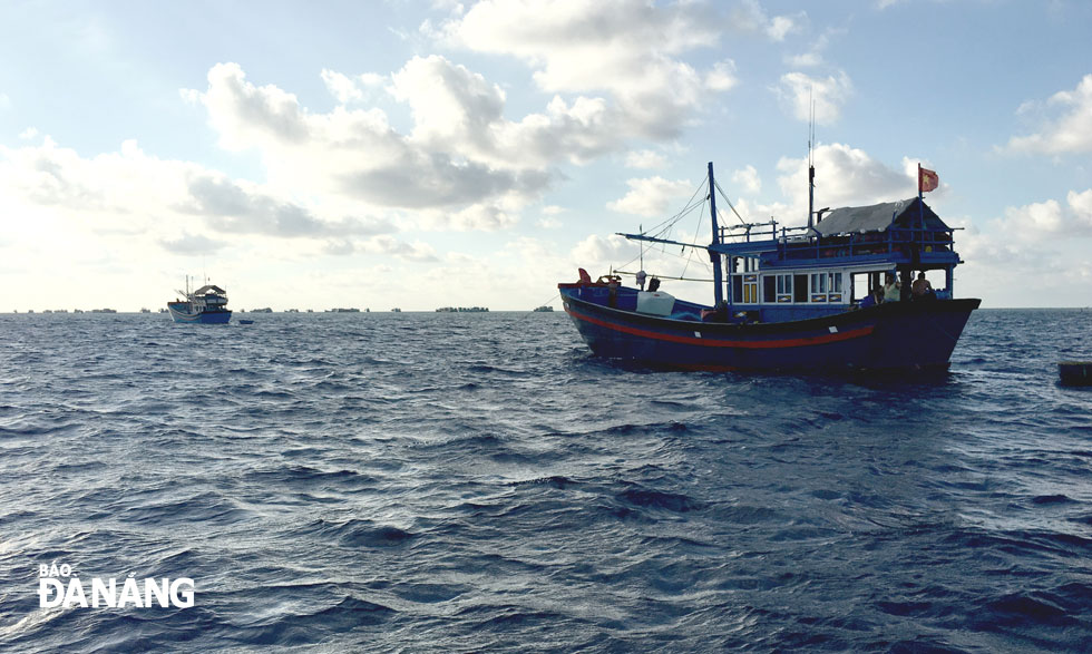 Vietnamese fishing boats operating in the Truong Sa waters