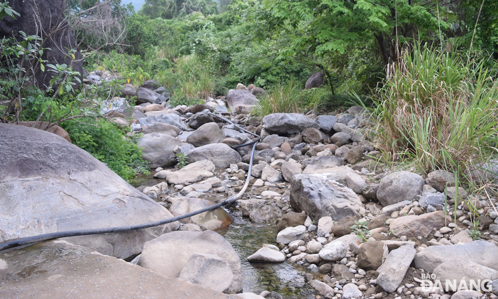 Many section of the stream dry up