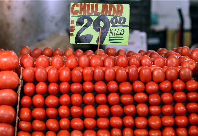 Cà chua được bày bán tại chợ ở Mexico City, Mexico, ngày 14/1/2019. Ảnh: AFP/ TTXVN