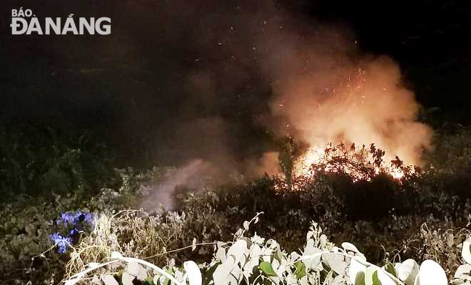 Dập tắt đám cháy rừng trên bán đảo Sơn Trà trong đêm