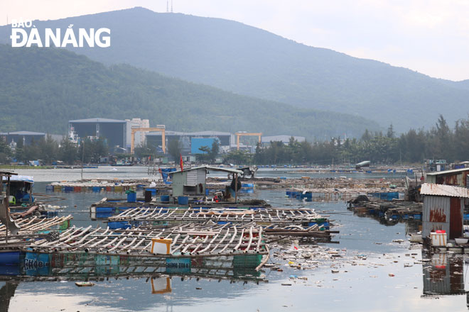 Khu nuôi thủy sản thường xuyên ô nhiễm