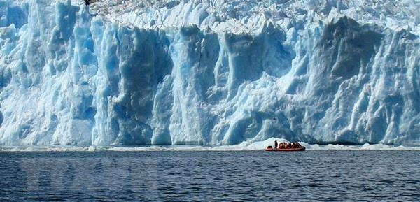 Sông băng ở Chile tan chảy đe dọa đa dạng sinh học biển