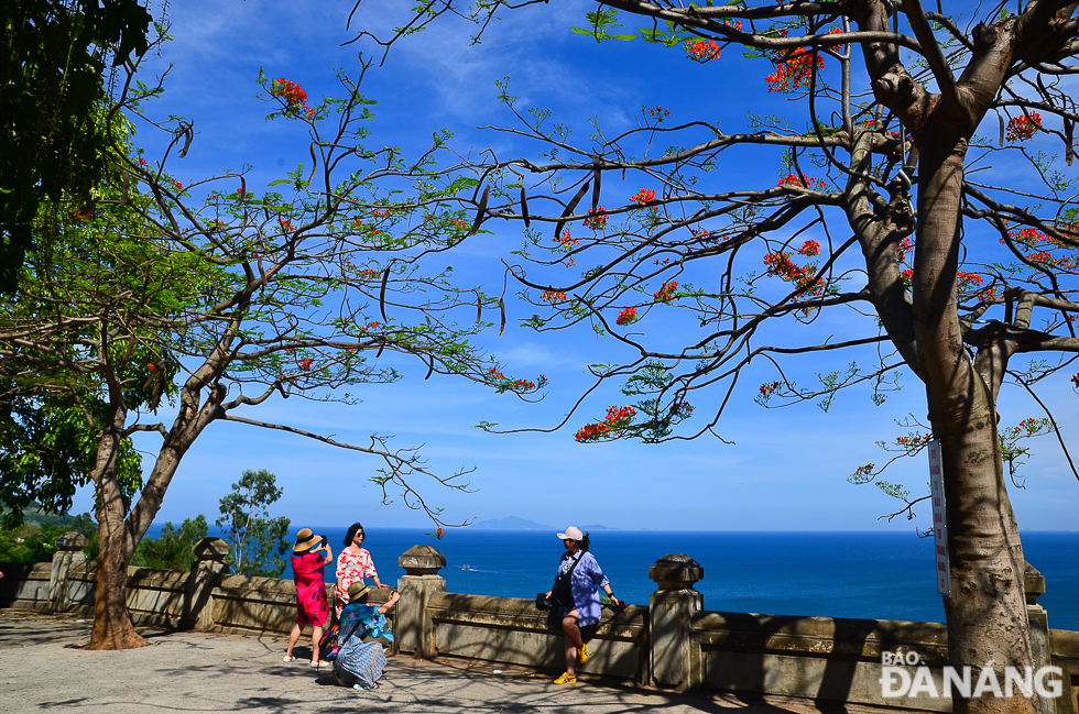 Visitors posing souvenir photos with red phoenix flowers at the Linh Ung Pagoda